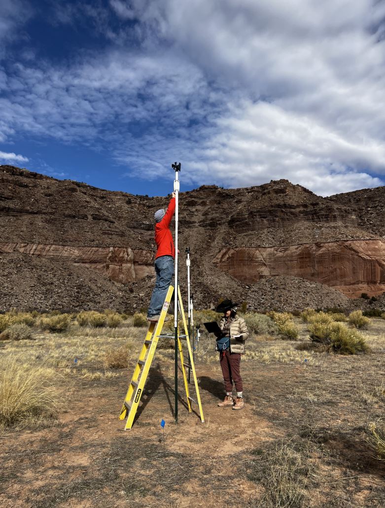 Undergraduate Field Research at Bonderman Field Station