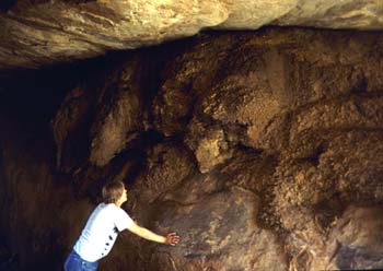 Massive Midden from Canyonlands
