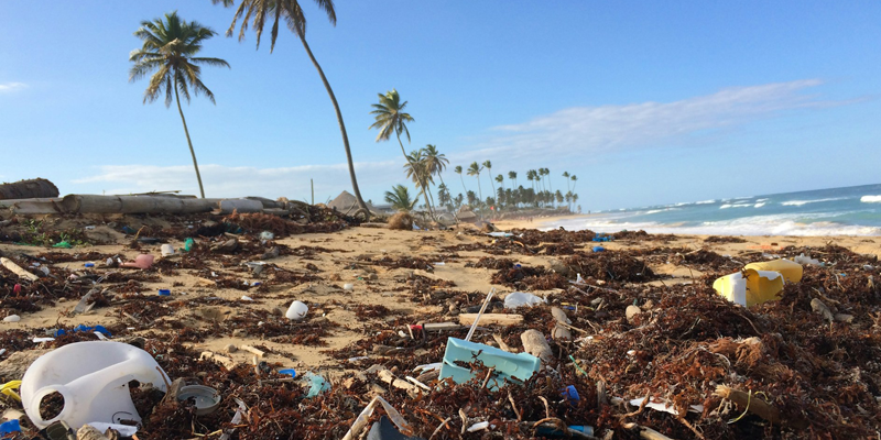 Polluted beach