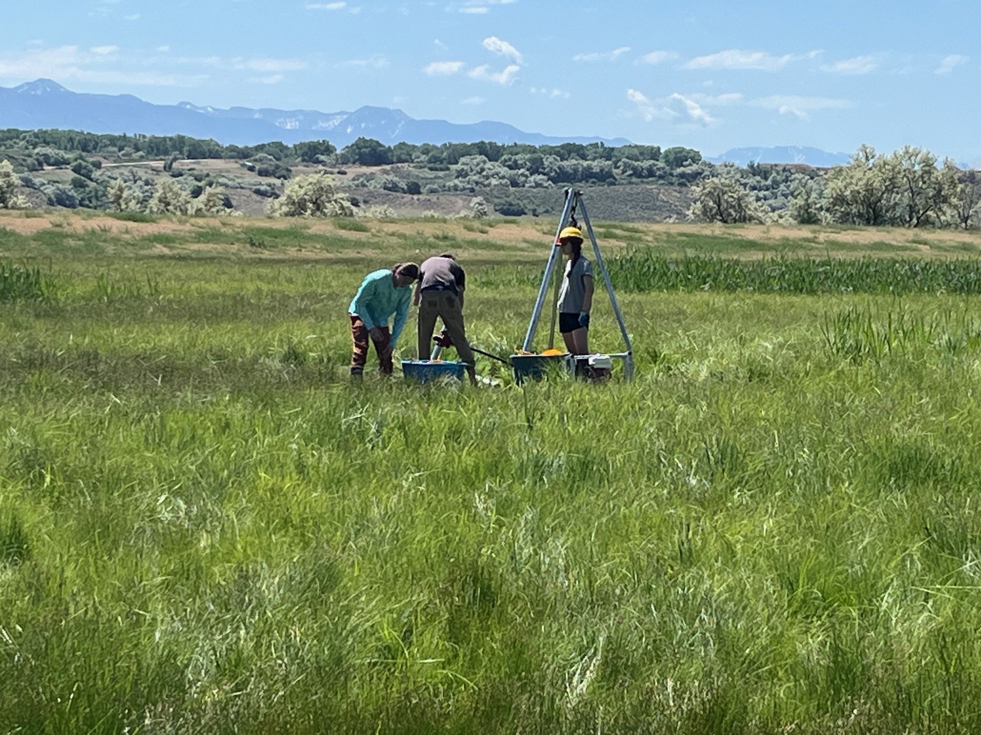 Three humans in grassy field with scientific tools