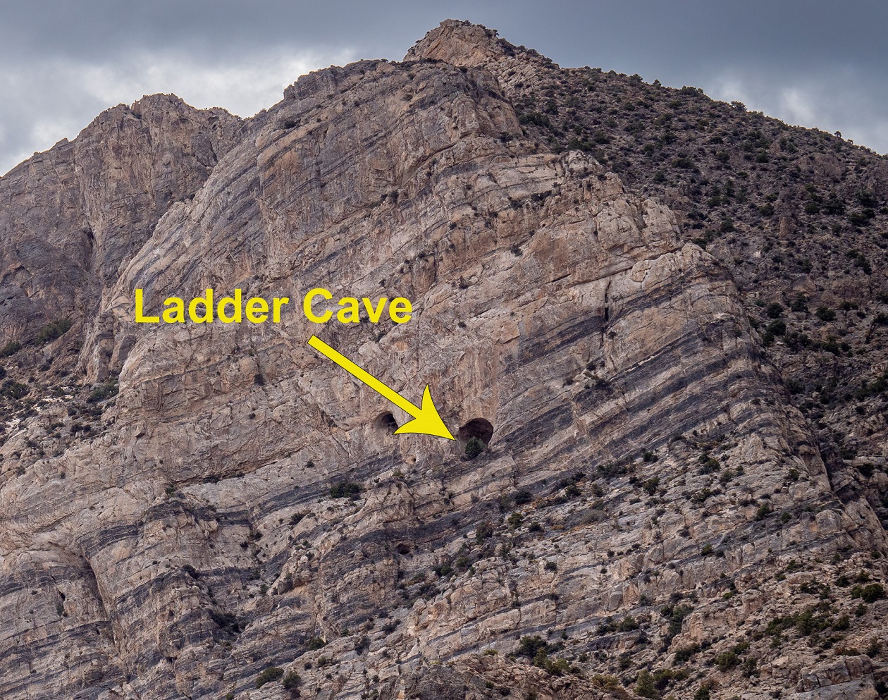 Ladder Cave 