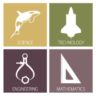 STEM Logo